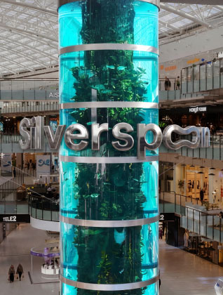 Silver spoon в «Авиапарке»