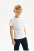 Базовая хлопковая футболка (SSFSU-328-38432-200) Silver Spoon