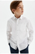Хлопковая сорочка comfort на кнопках (SSLSB-129-13905-200) Silver spoon