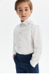 Хлопковая сорочка Comfort на кнопках (SSFSB-229-18032-200) Silver Spoon