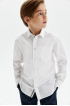 Хлопковая сорочка comfort на кнопках (SSLSB-119-13906-200) Silver spoon