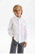 Хлопковая сорочка с трикотажной спинкой на кнопках (SSLSB-218-14105-200) Silver Spoon
