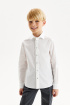 Хлопковая сорочка Slim на кнопках (SSFSB-329-14742-200) Silver spoon