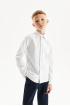 Сорочка comfort из хлопка supima cotton (SSFSB-548-14433-200) Silver spoon