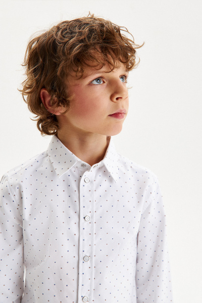 Сорочка хлопковая Comfort на кнопках (SSFSB-429-14732-968) Silver spoon