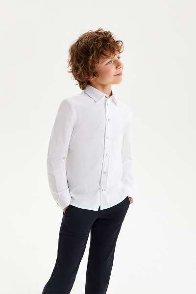 Сорочка хлопковая Slim с трикотажной спинкой на кнопках (SSFSB-428-14853-231) Silver spoon