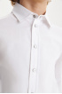 Сорочка хлопковая Slim с трикотажной спинкой на кнопках (SSFSB-428-14853-231) Silver spoon
