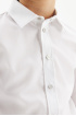 Сорочка с трикотажной спинкой Slim на кнопках (SSFSB-228-14153-208) Silver Spoon