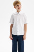 Сорочка slim из хлопка supima cotton (SSFSB-548-14535-200) Silver spoon